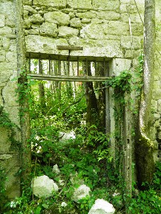 amazoniens photo 11 dans les bois du Quercy