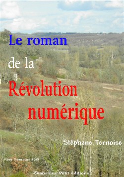 le roman rvolution numrique France 